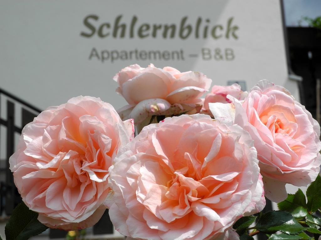 Haus Schlernblick Apartment Nova Ponente Ngoại thất bức ảnh